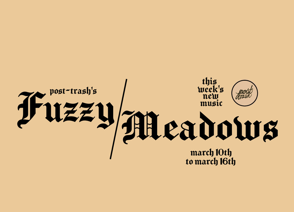 FUZZY MEADOWS — POST-TRASH