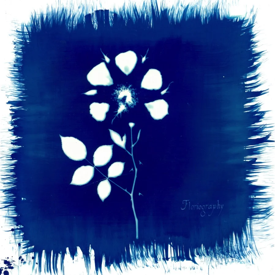 Painted Zeros - "Floriography" | Album Review