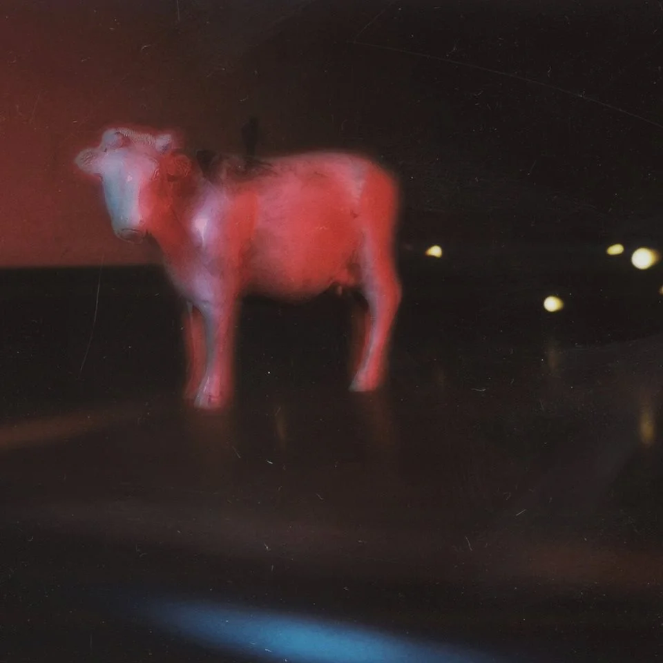 Aural Burrows - "Empty" | Post-Trash Exclusive Premiere