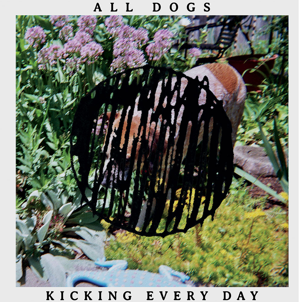 14. ALL DOGS | "KICKING EVERY DAY"