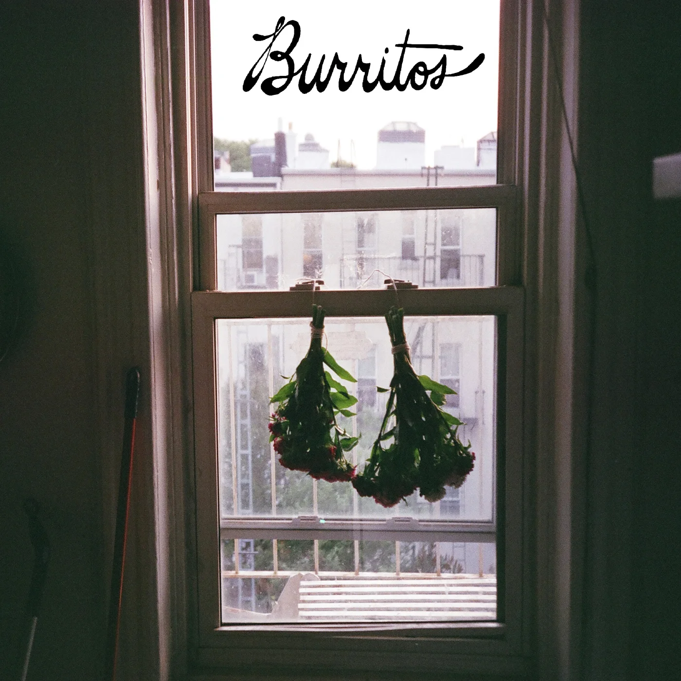 Baby Birds Don't Drink Milk - "Love Me Denver" | Post-Trash Exclusive Premiere