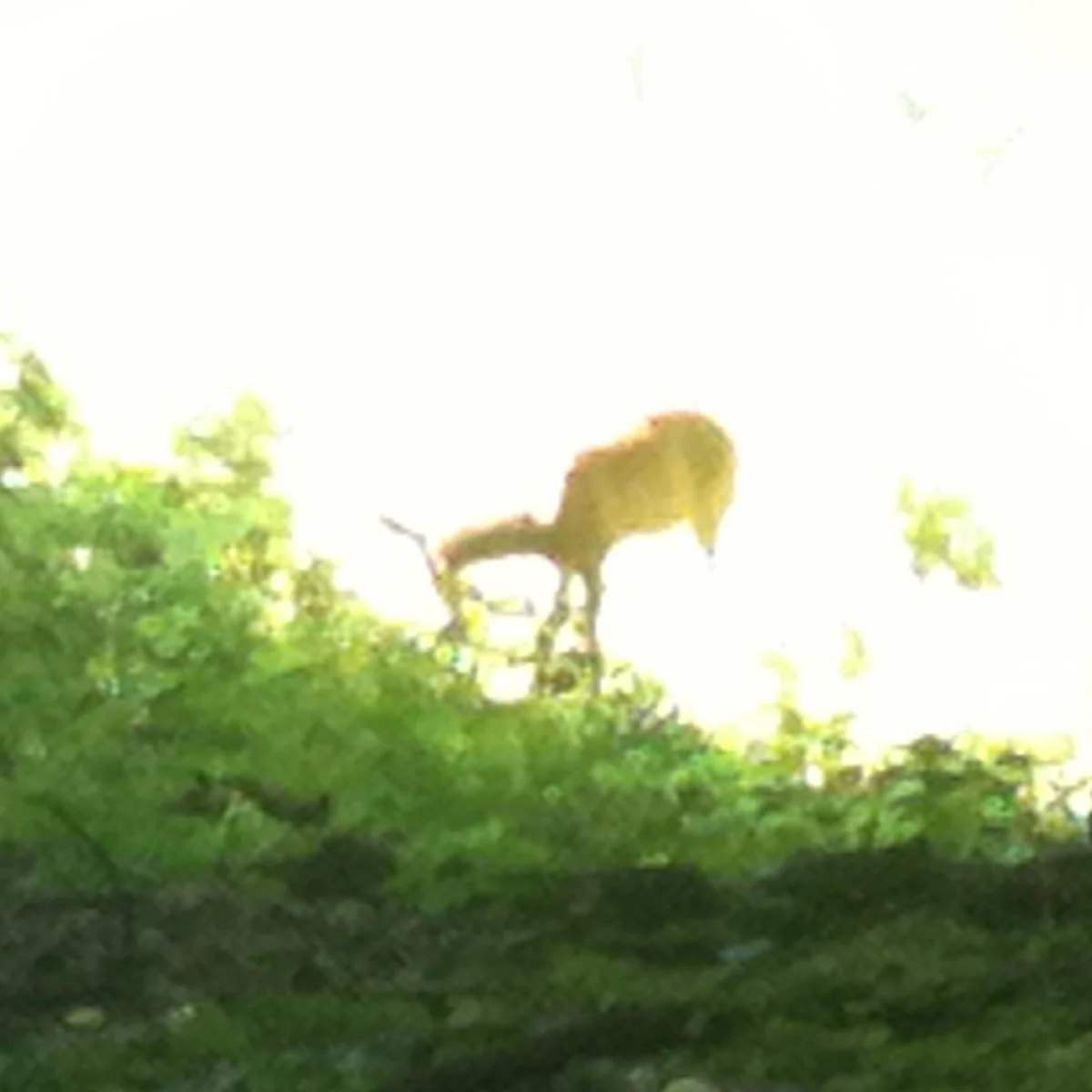 The Cradle - "Can't Recall The Good Times" | Post-Trash Exclusive Premiere