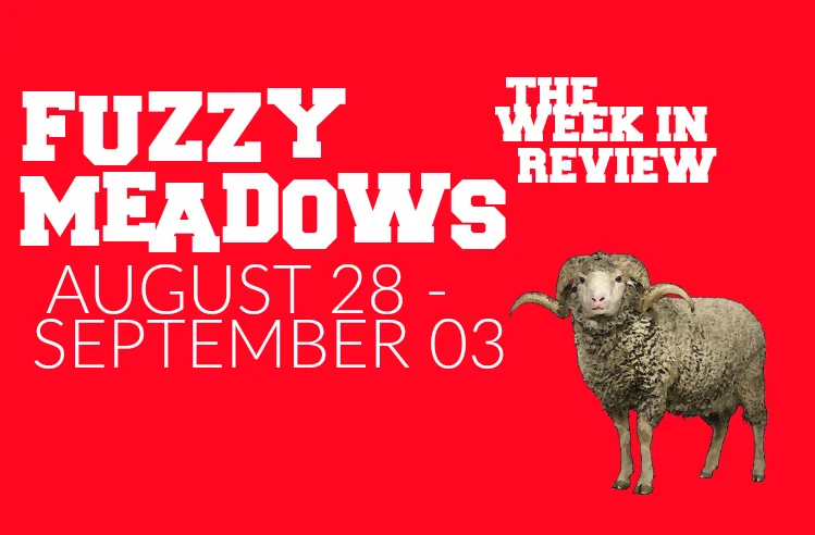 fuzzy meadows1.jpg