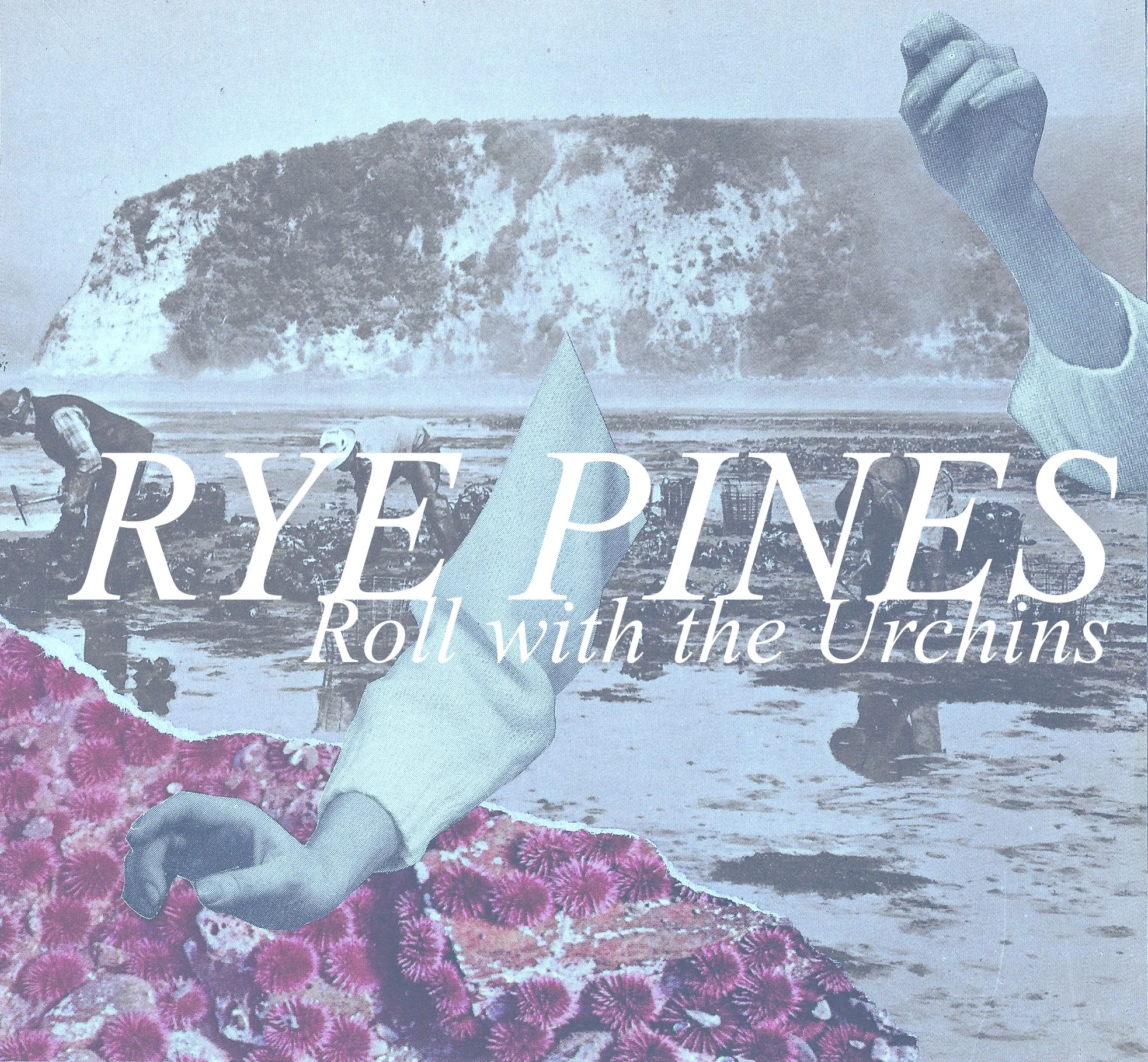 Rye Pines - "Spiderback Boogie" | Post-Trash Exclusive Premiere