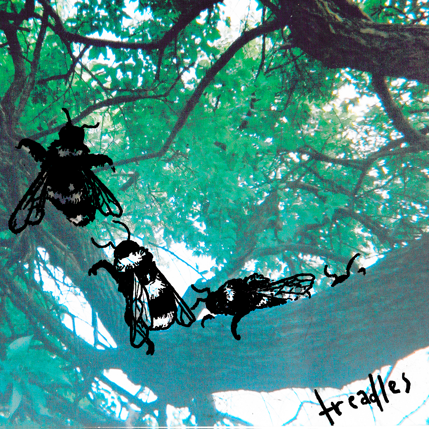 treadles cover.png