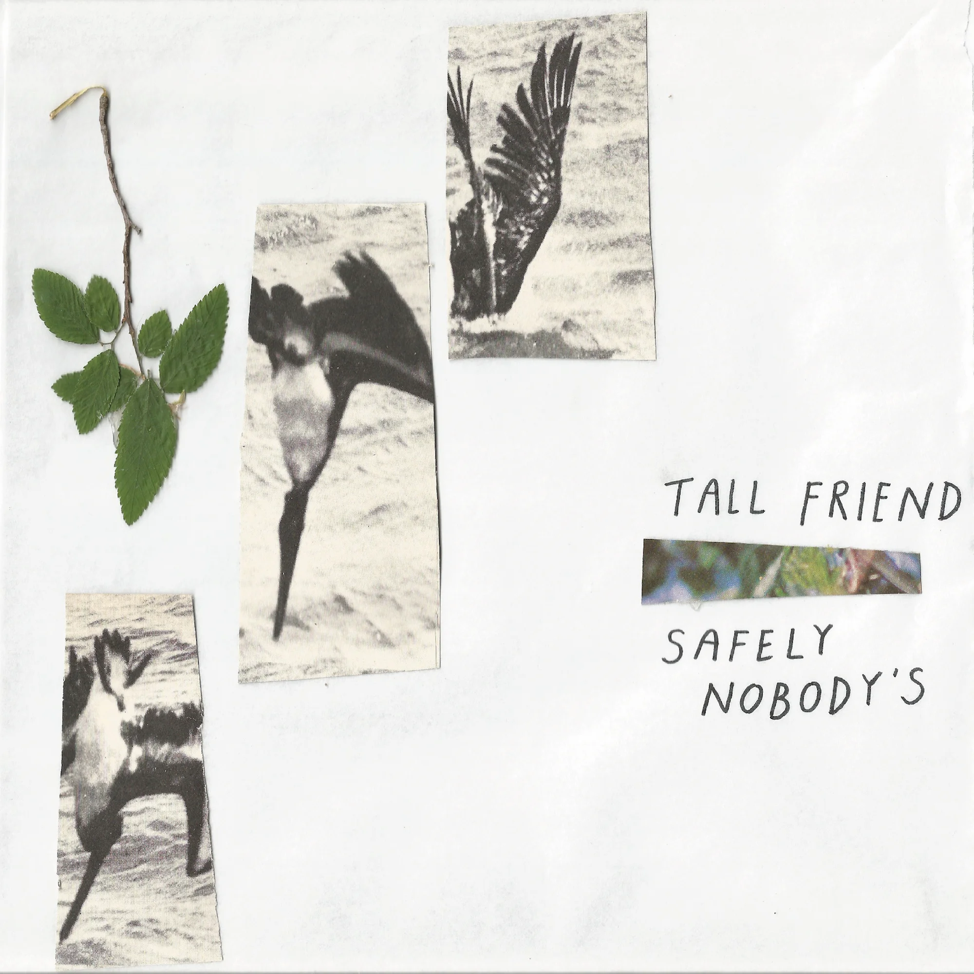 Tall Friend cover.jpg