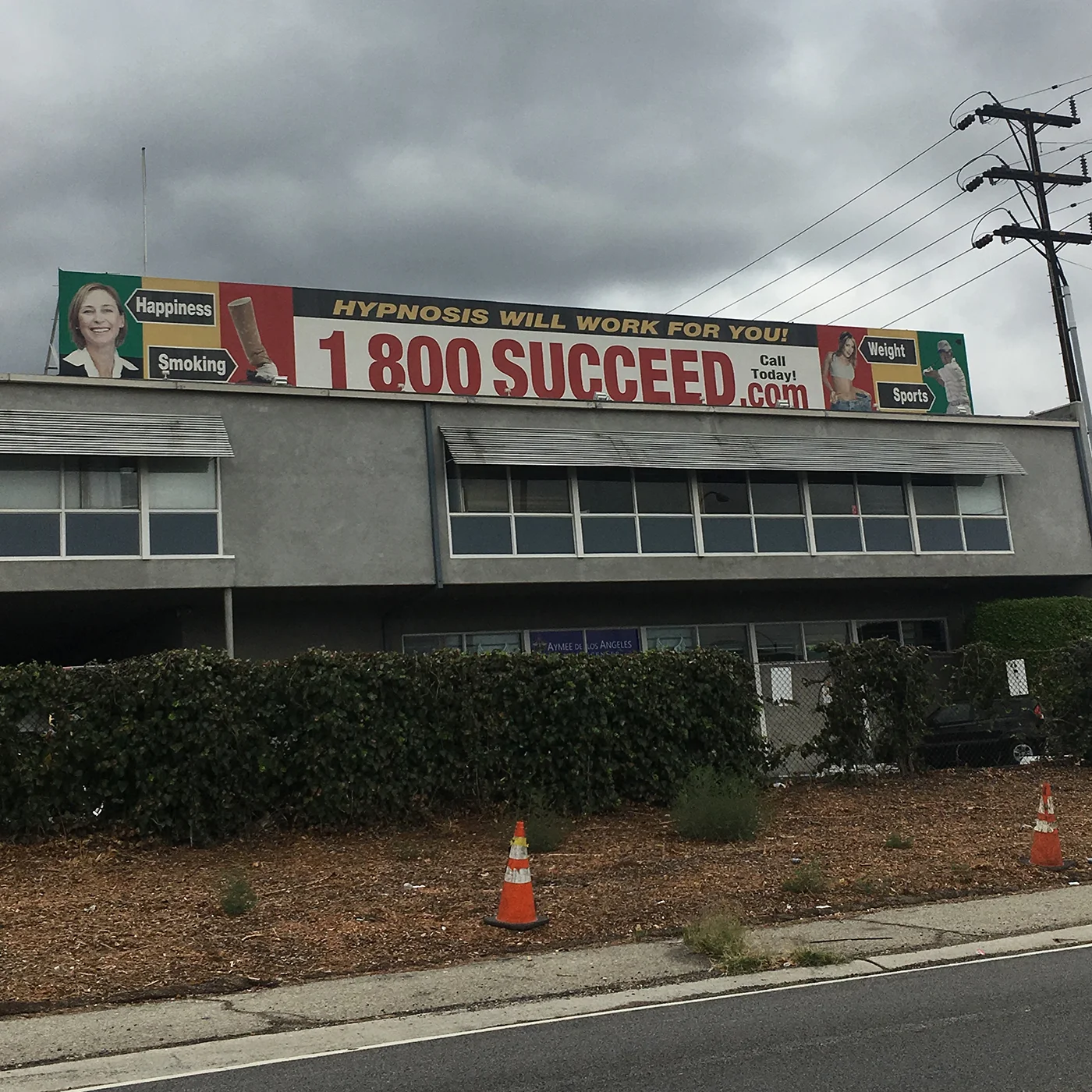 MediaJeweler_1800SUCCEED_DigitalArt_1400.jpg