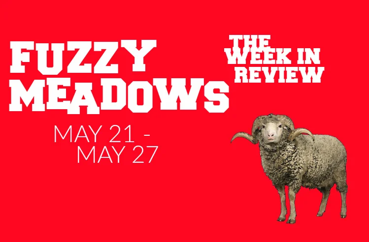 fuzzy meadows1.jpg