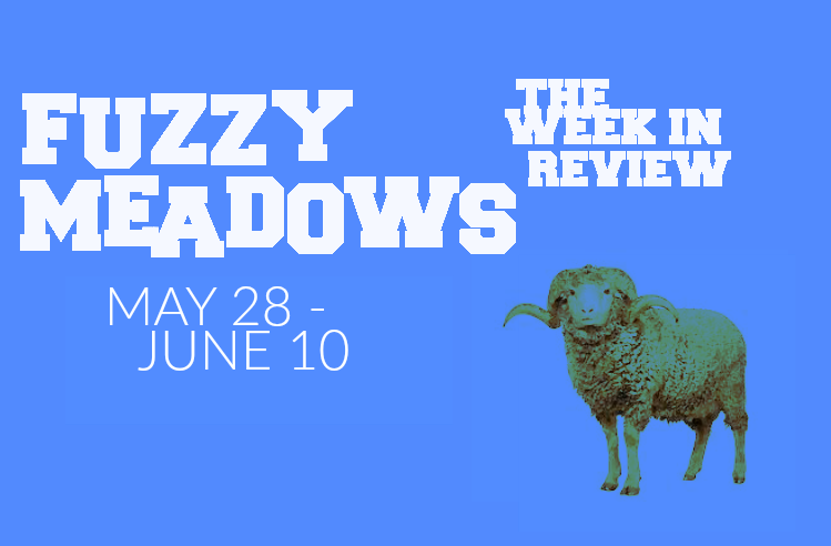 fuzzy meadows blue.png