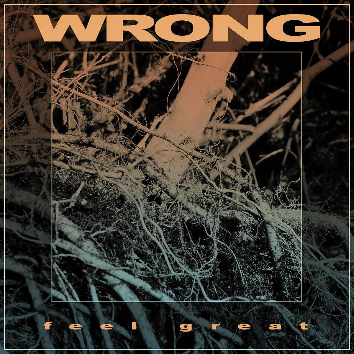 wrong cover.jpg