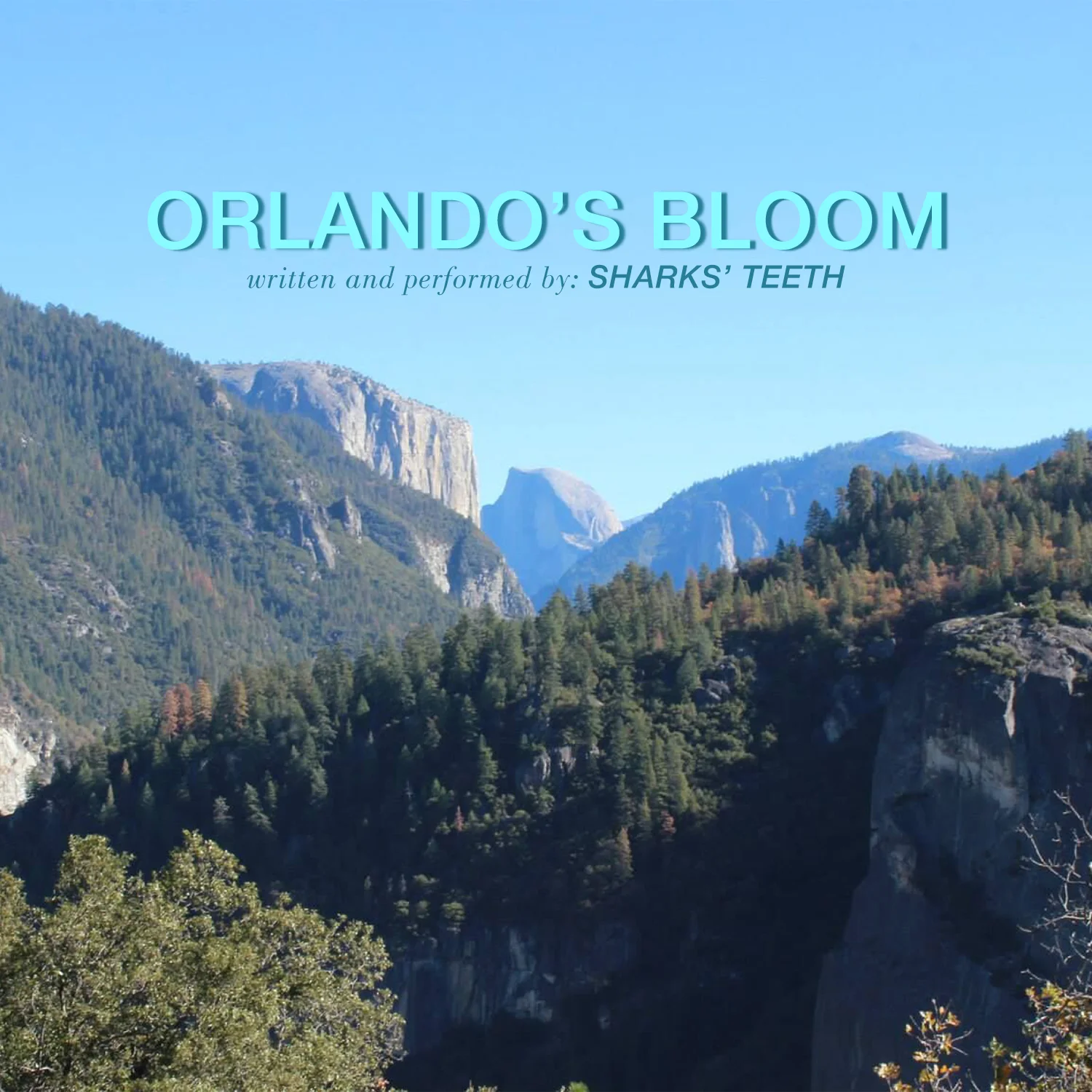 sharks_teeth_orlandos_bloom_WEB_1500.jpg