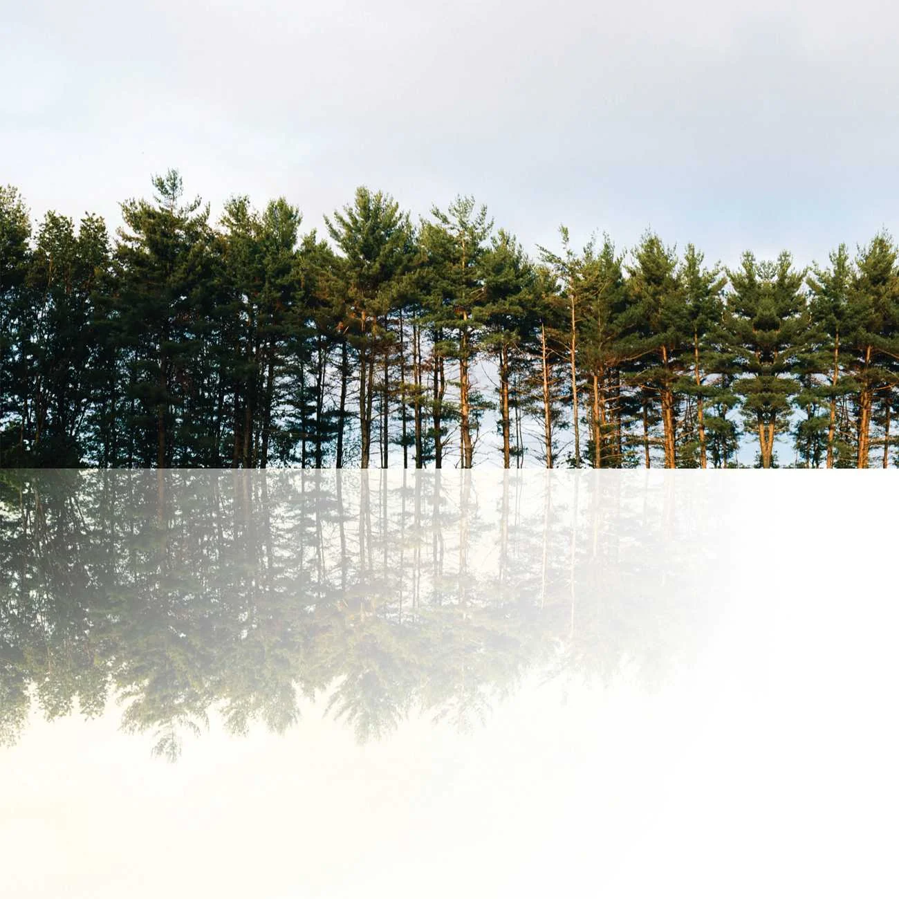 Footings - "American Beers" | Post-Trash Premiere