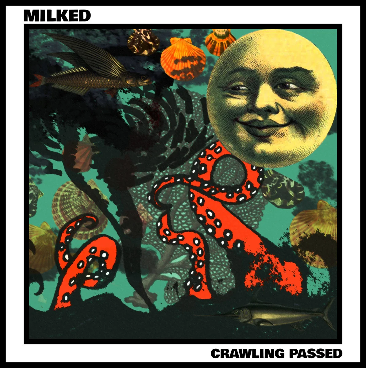 milked cover1.jpg