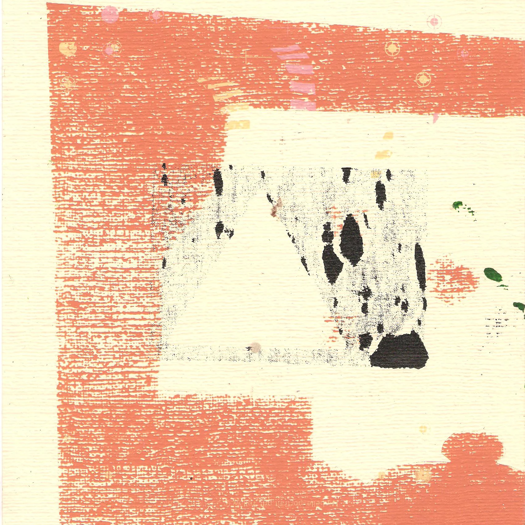 DROOL - "Cinnamon" | Post-Trash Premiere