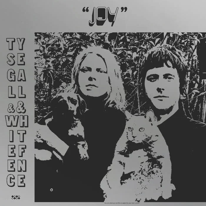 ty segall white fence cover.jpg