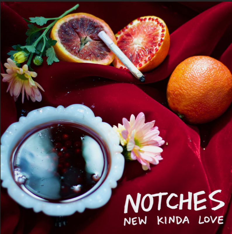 Notches - "Room Upstairs" | Post-Trash Premiere