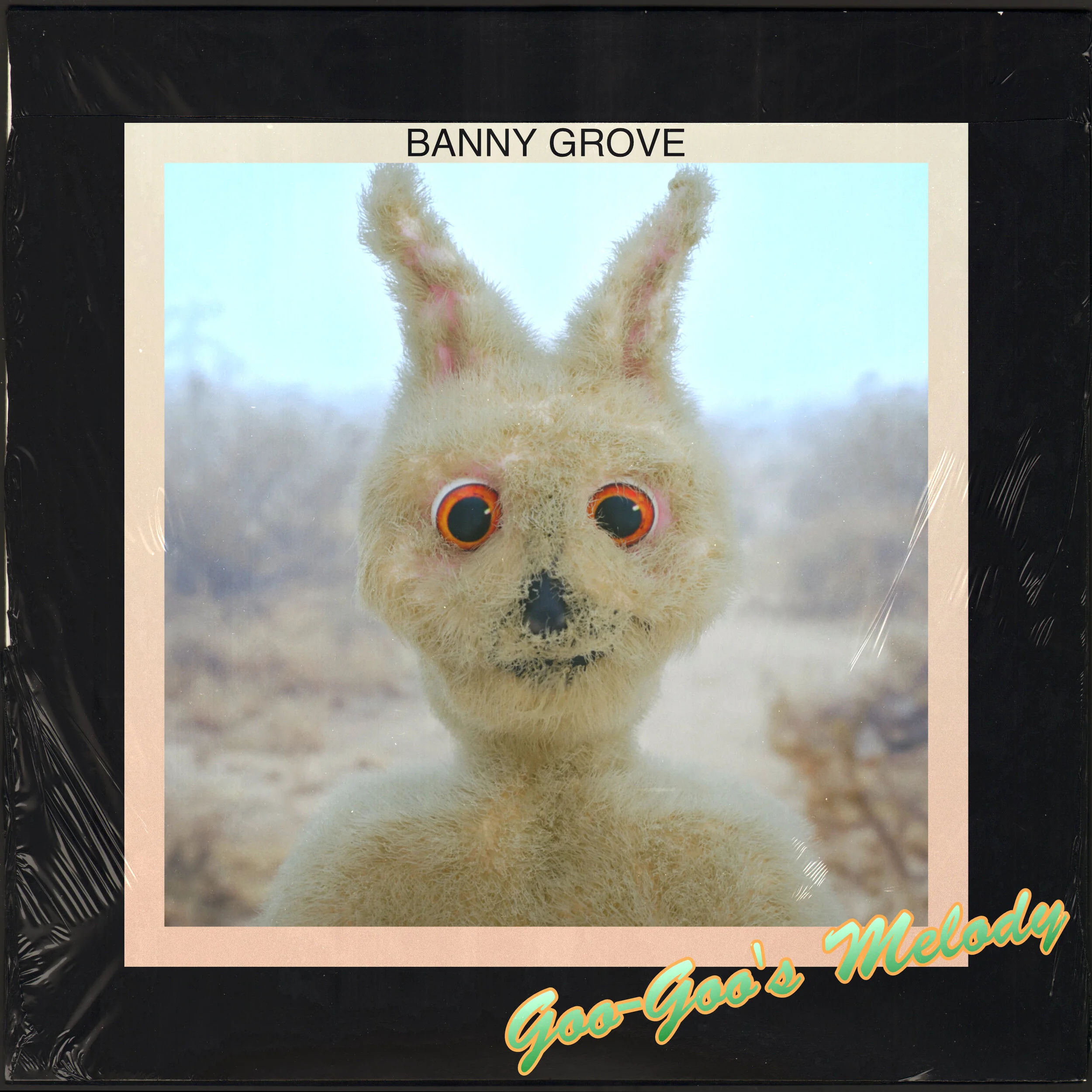 Banny Grove - "Goo-Goo's Melody" | Post-Trash Premiere
