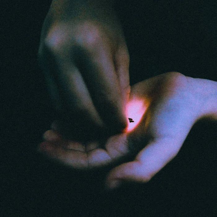 BAMBARA | "Stray"