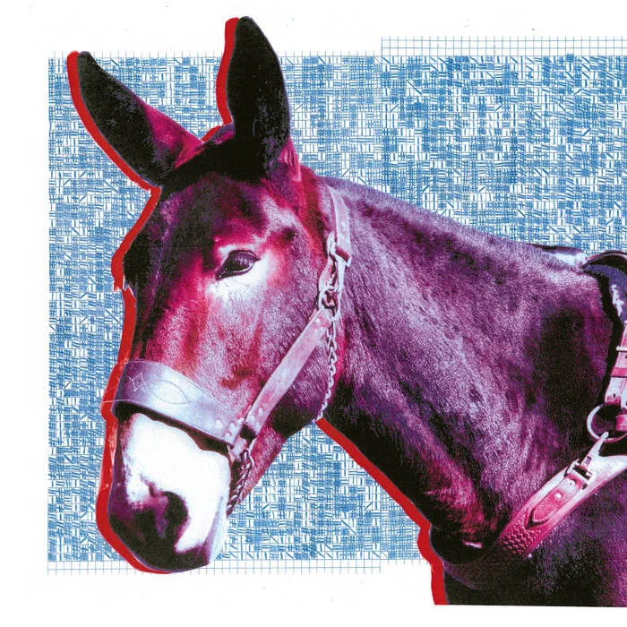 PROTOMARTYR | "Ultimate Success Today"