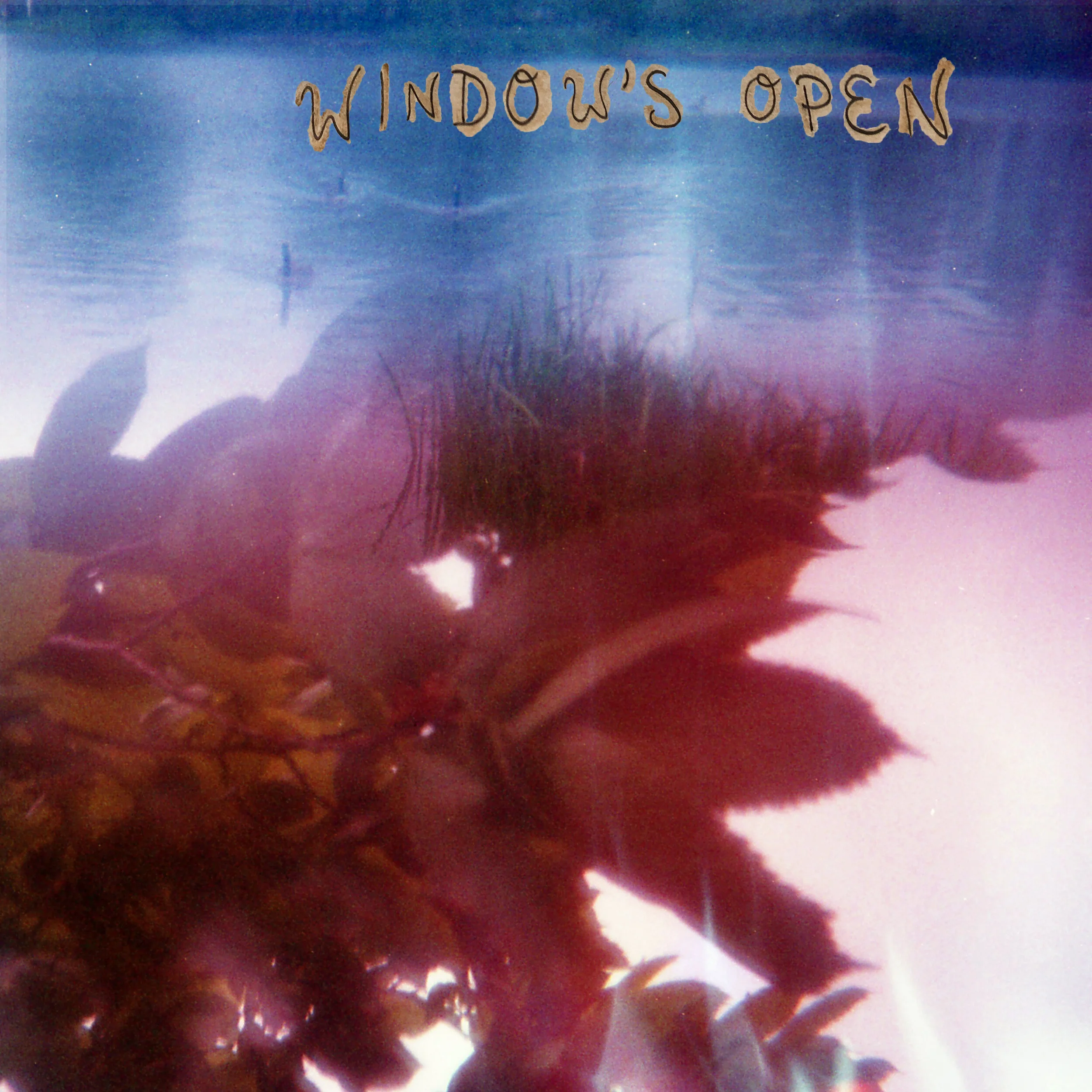 OPTIONS | "Window's Open"