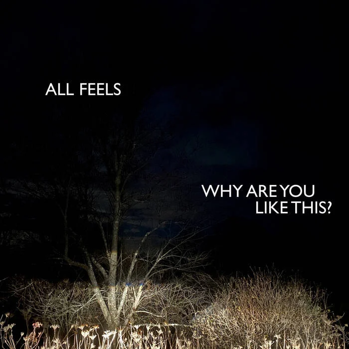 All Feels - "We Love This For You" Video | Post-Trash Premiere