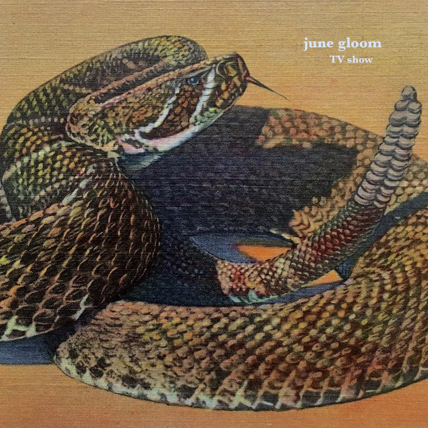 June Gloom - "TV Show" | Post-Trash Premiere