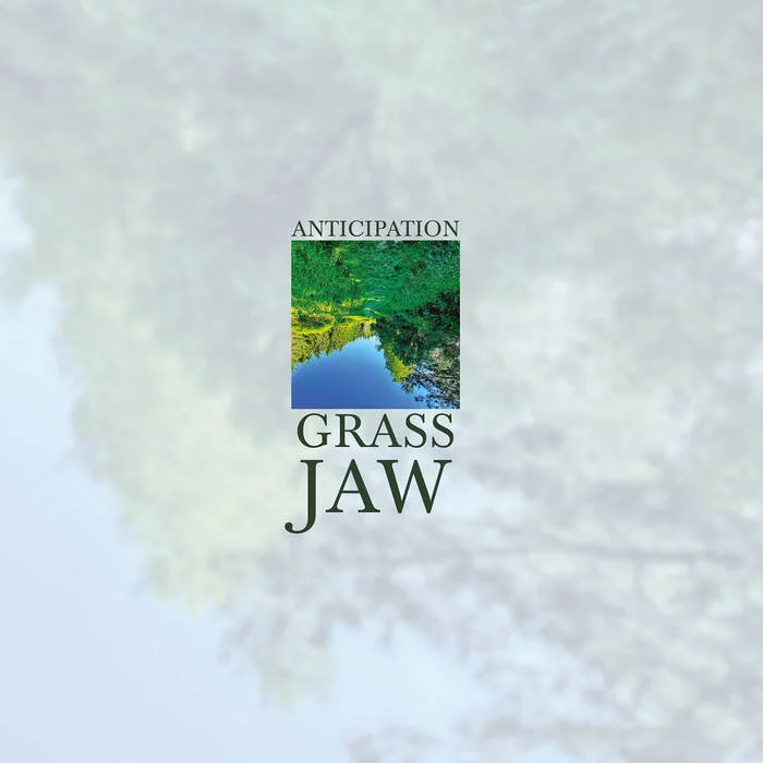 Grass Jaw - "Displacement" | Post-Trash Premiere