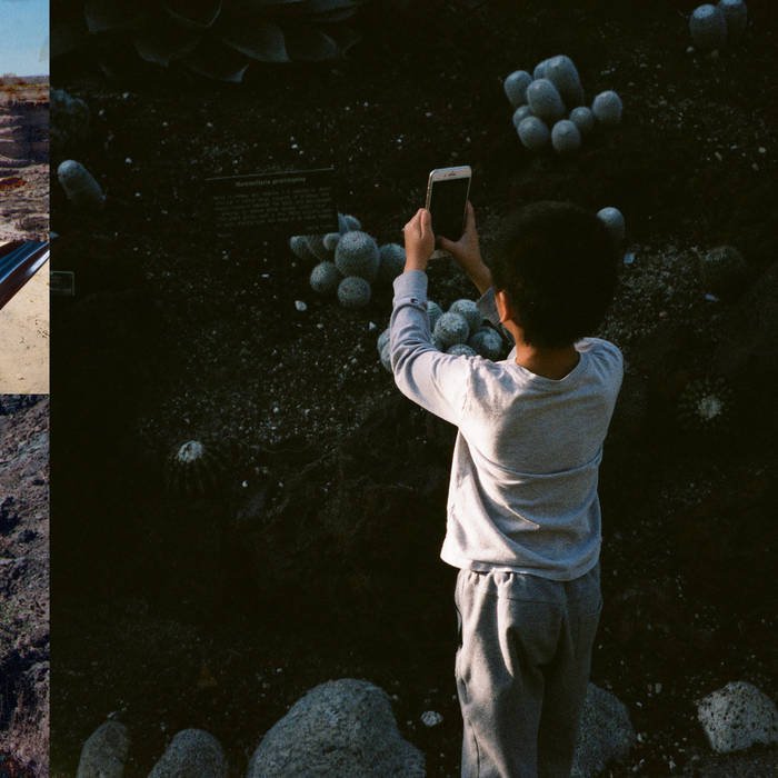 08. Mega Bog - "Life, and Another"