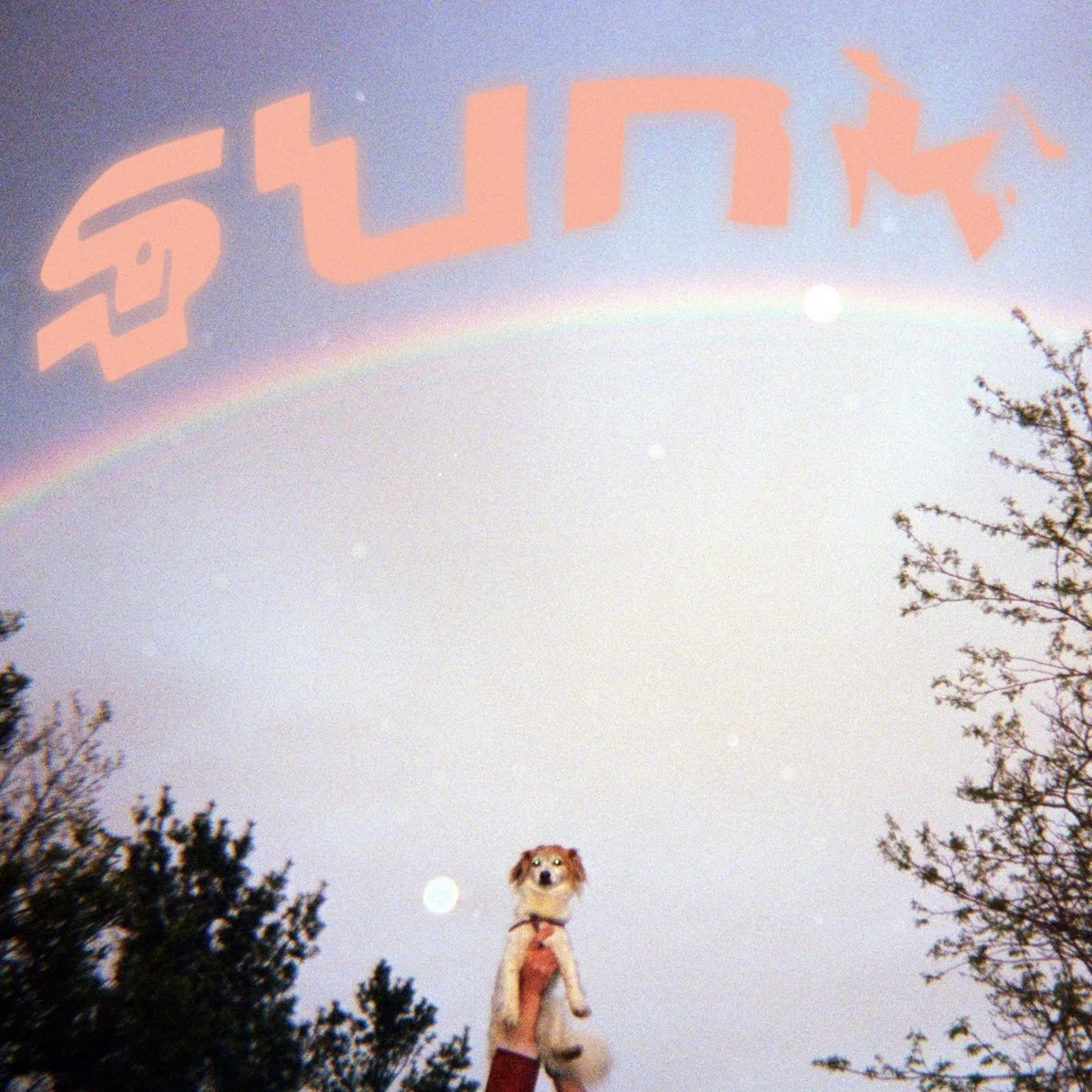 Babehoven - "Sunk" | Album Review