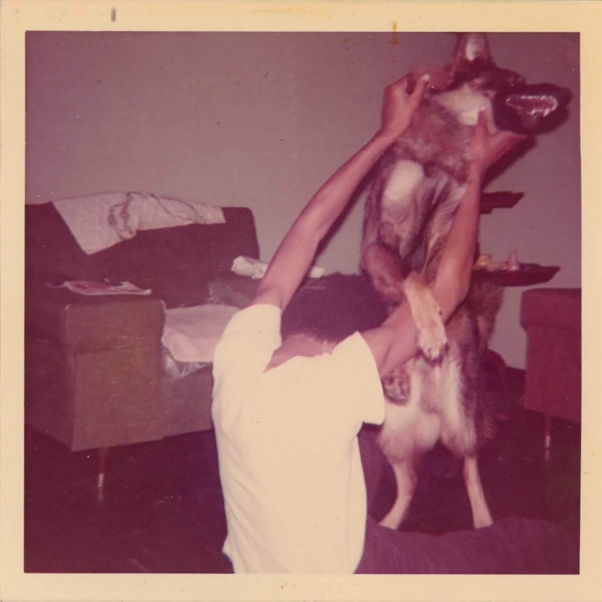 ELUCID | "I Told Bessie"