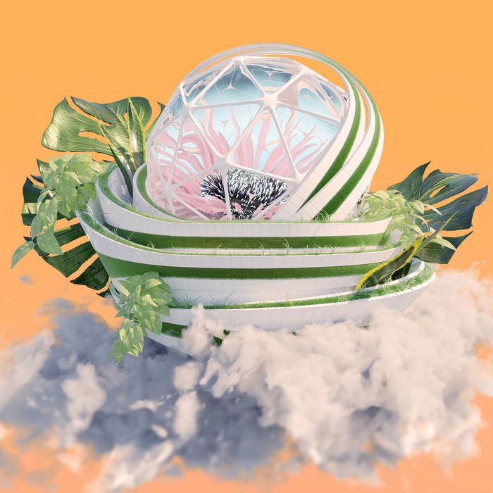 TOMATO FLOWER | "Gold Arc"