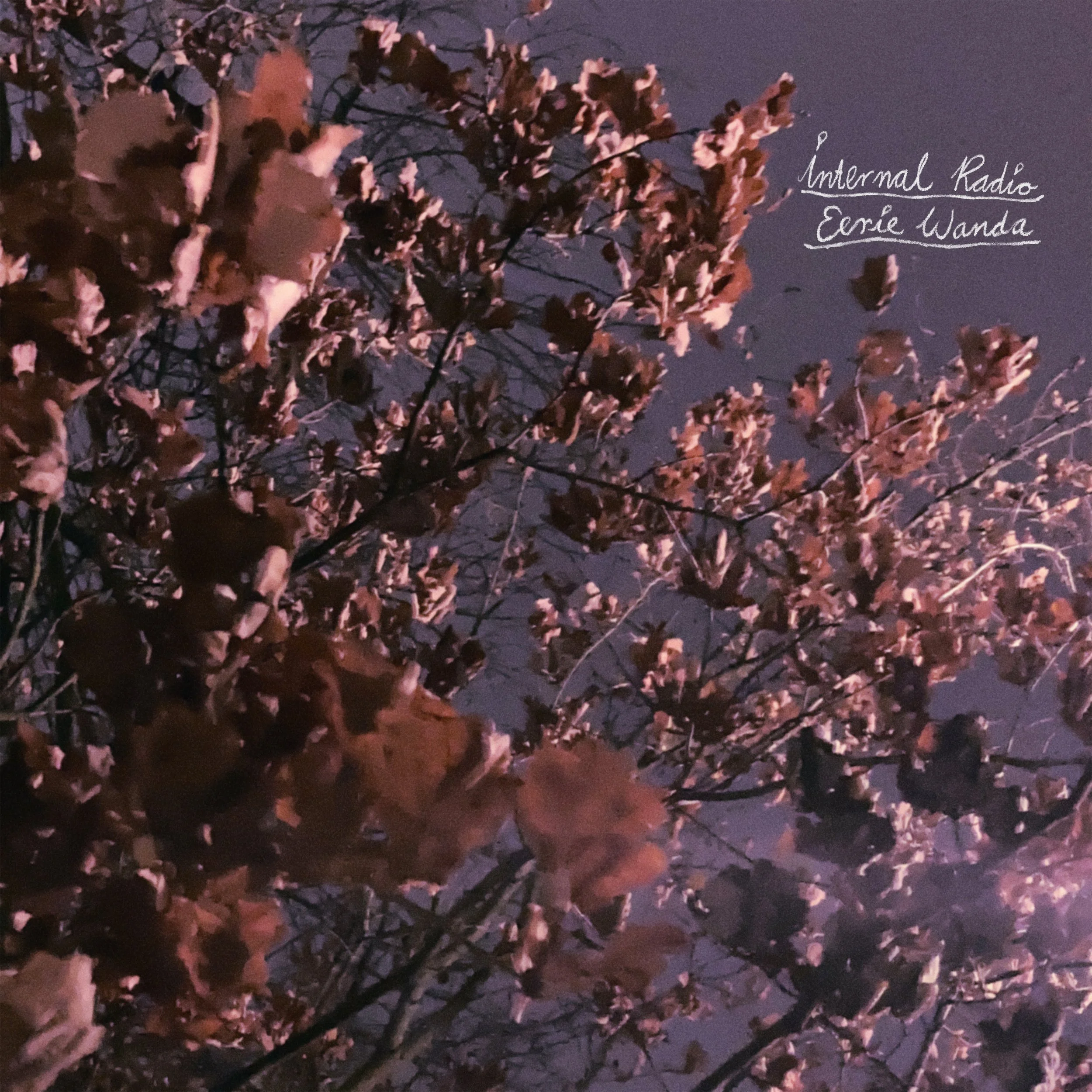 Eerie Wanda - "Sail To The Silver Sun" | Post-Trash Premiere
