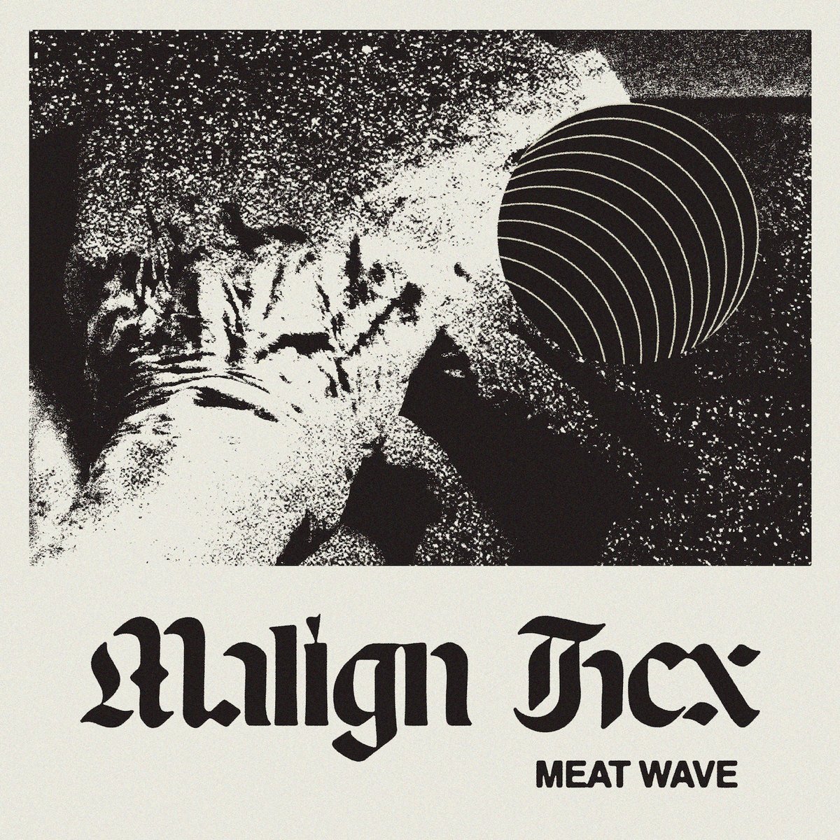 MEAT WAVE | "Malign Hex"
