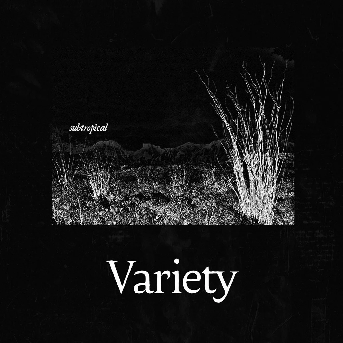 variety - Subtropical | Album Review