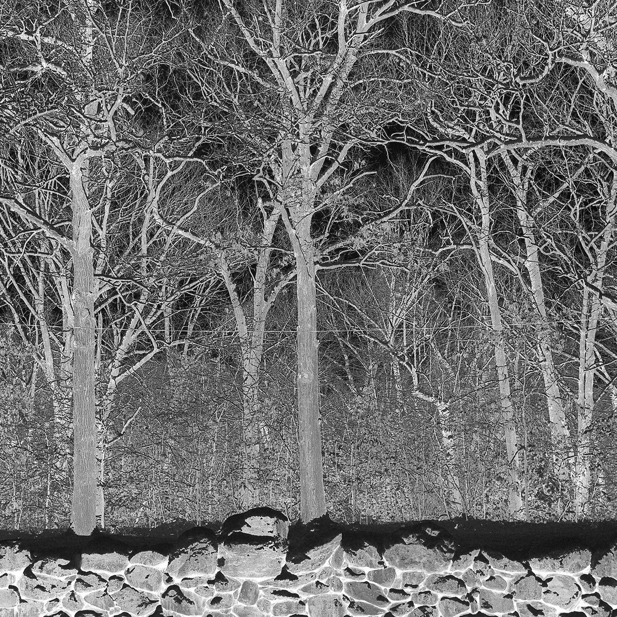 PILE | "Sunshine and Balance Beams"
