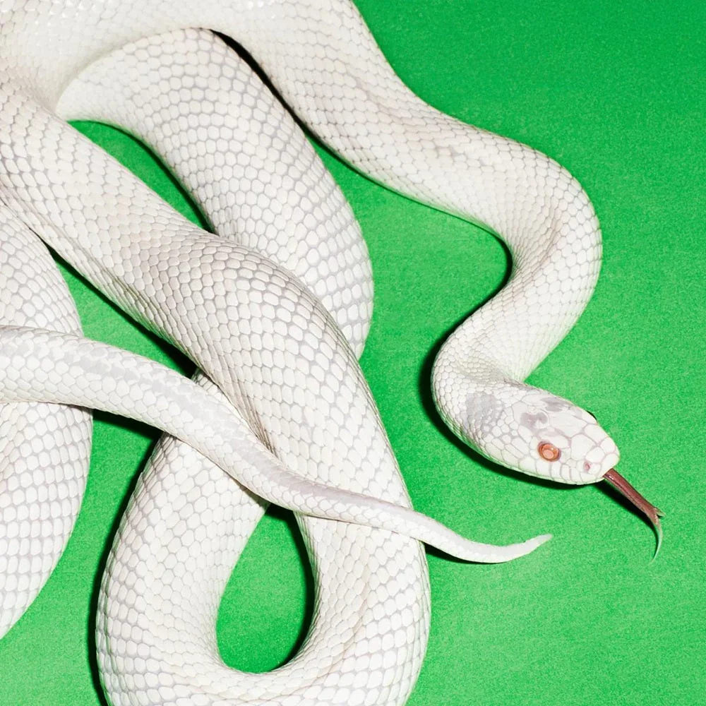 Deftones - "Private Music" | Album Review