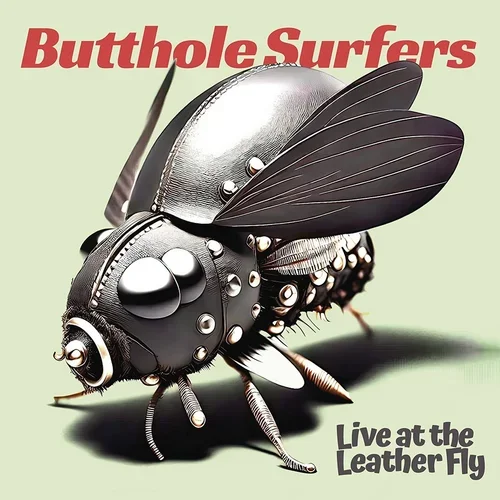 Butthole Surfers - "Live At Leather Fly" | Album Review