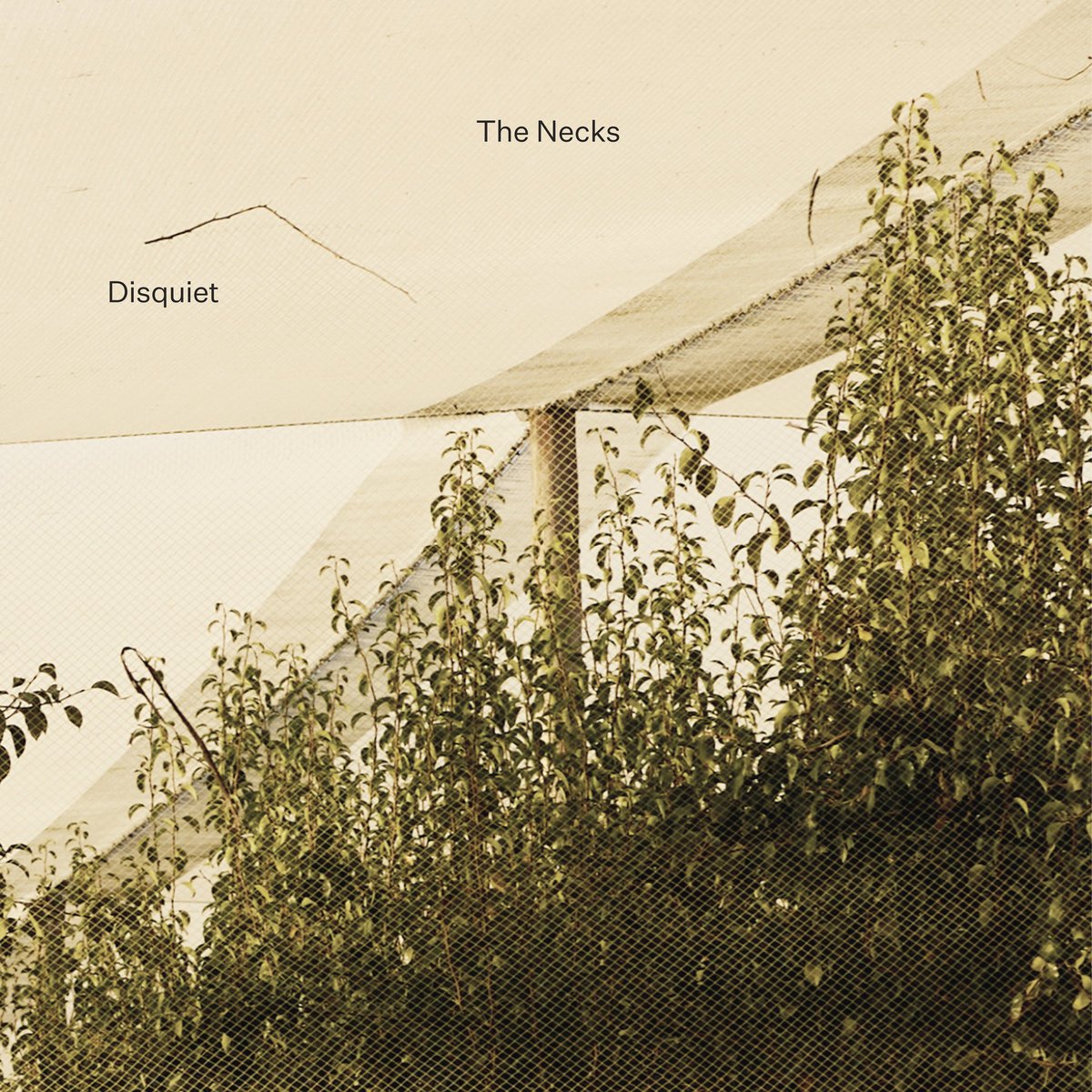 19. THE NECKS | "Disquiet"