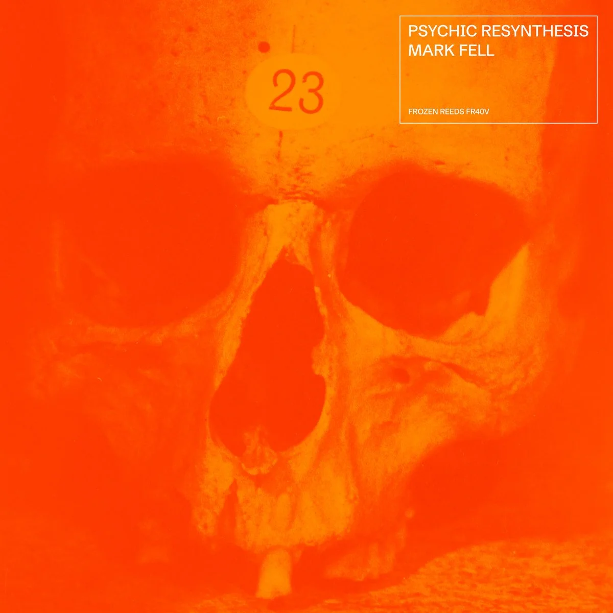 36. MARK FELL | "Psychic Resynthesis"