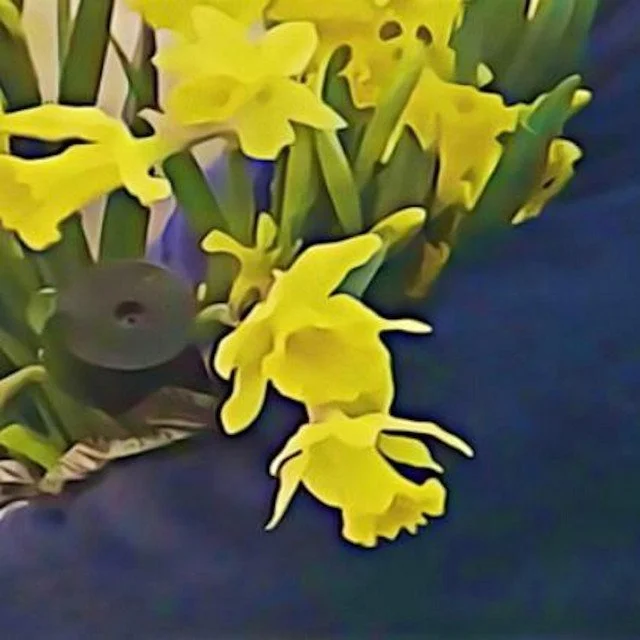 39. DEAN BLUNT &amp; ELIAS RØNNENFELT | "lucre"