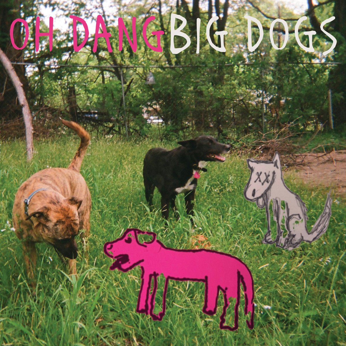 Oh Dang - "Big Dogs" | Album Review