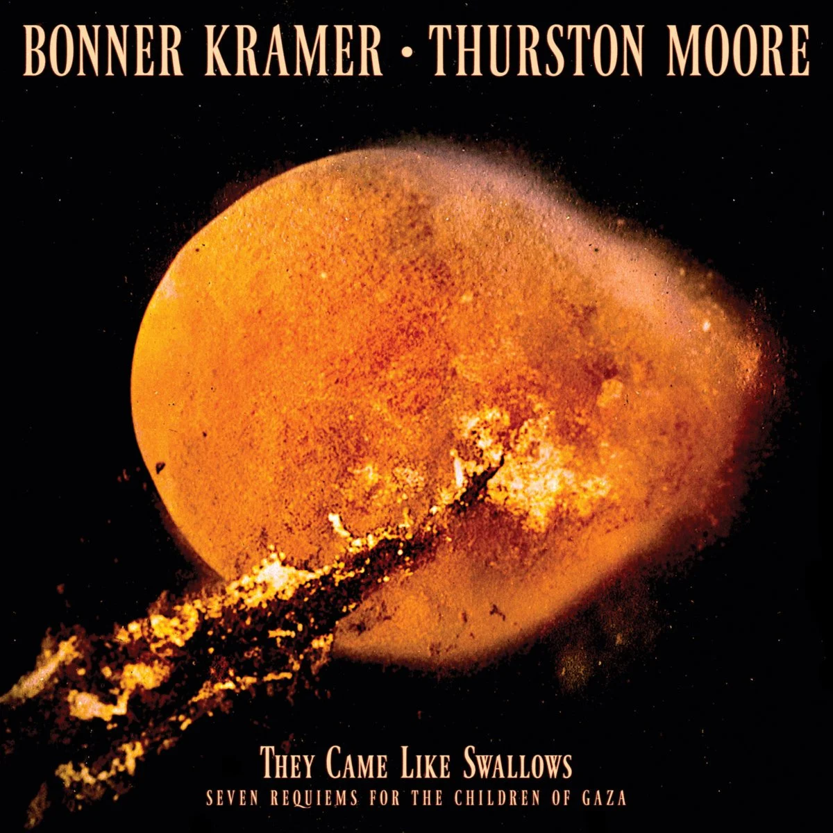 Bonner Kramer and Thurston Moore - "They Came Like Swallows" | Album Review