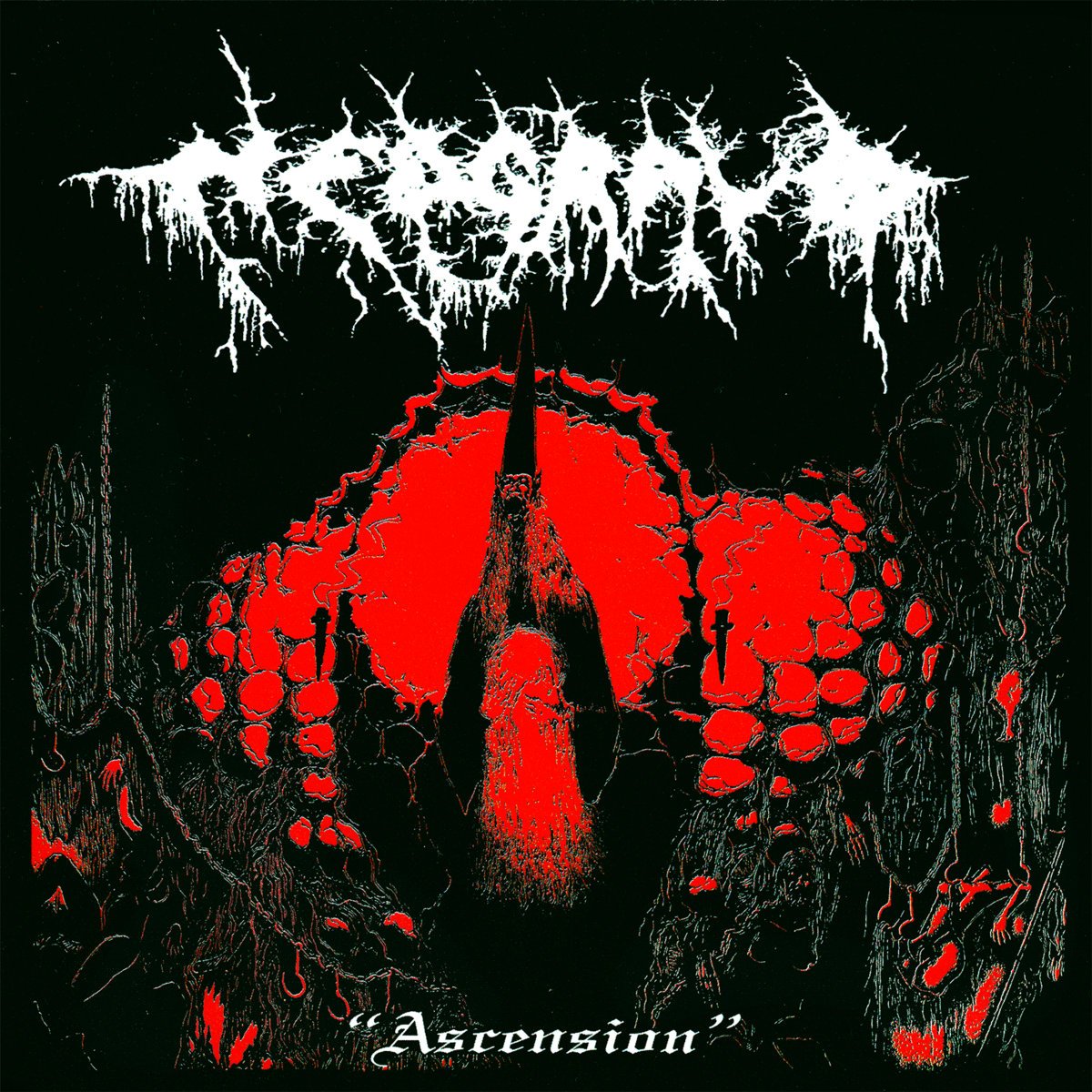 NEDGRAVD | “Ascension”