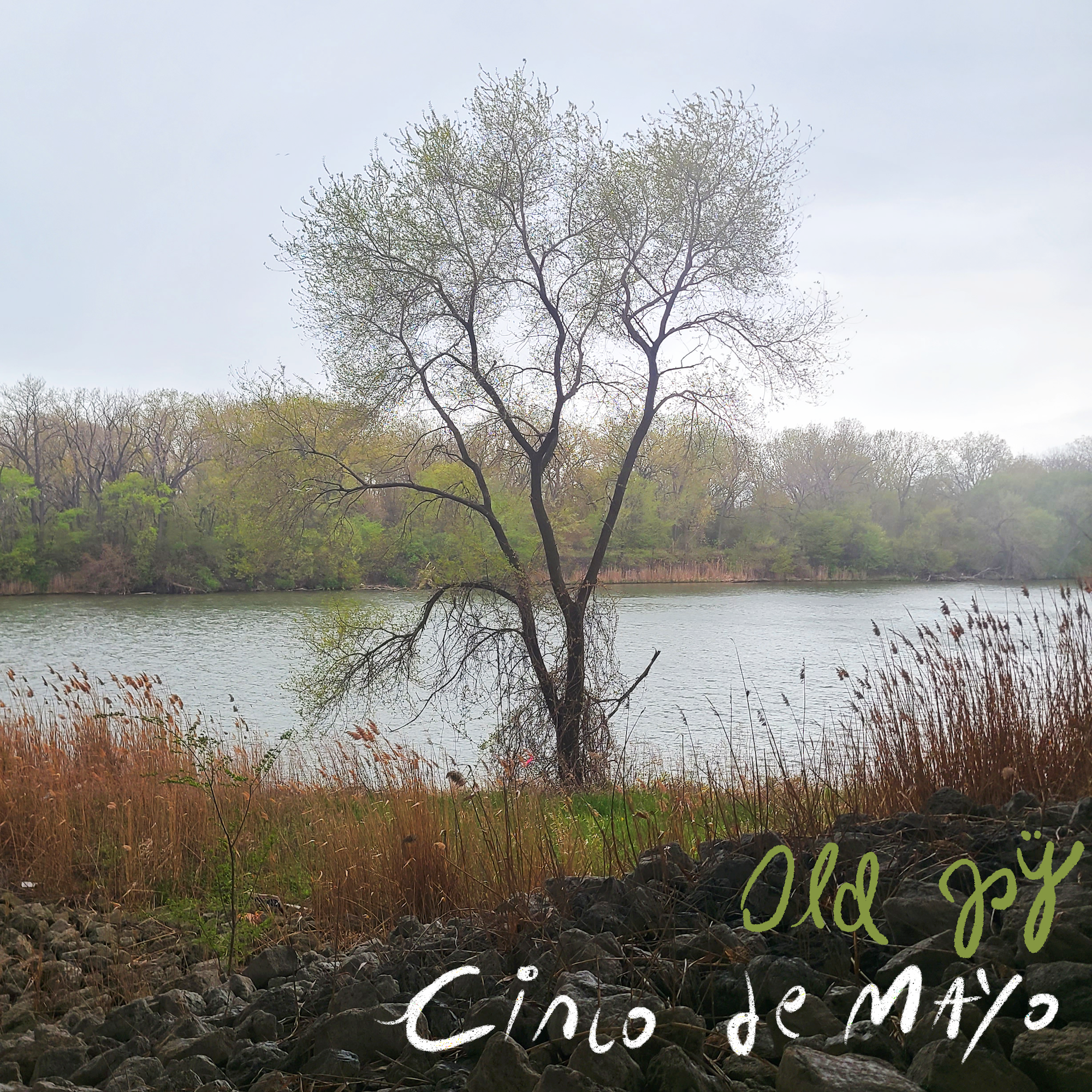 Old Joy - "Cinco de Mayo" | Post-Trash Premiere