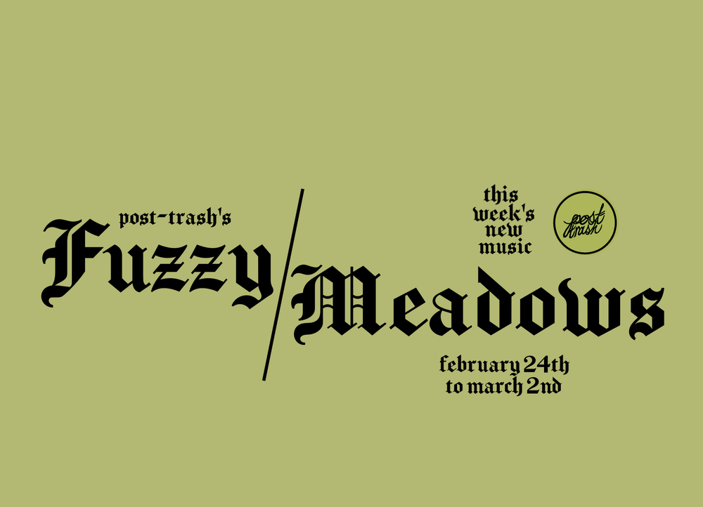 FUZZY MEADOWS — POST-TRASH