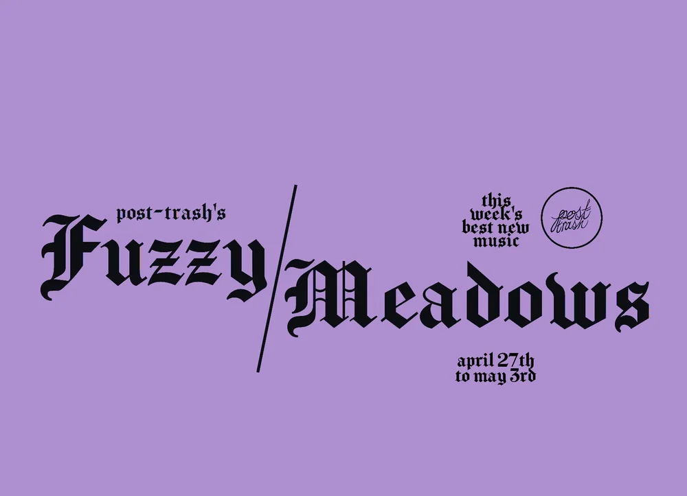 FUZZY MEADOWS  POST-TRASH