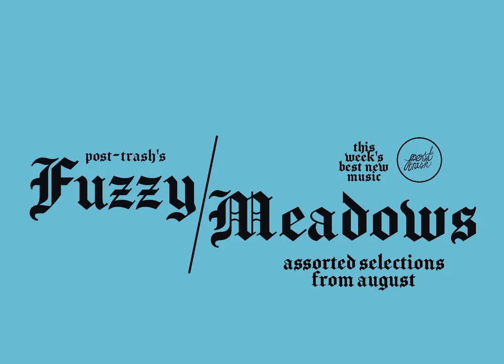 FUZZY MEADOWS POST TRASH 