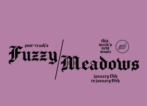 Fuzzy Meadows: The Week's Best New Music (January 13th - January ...