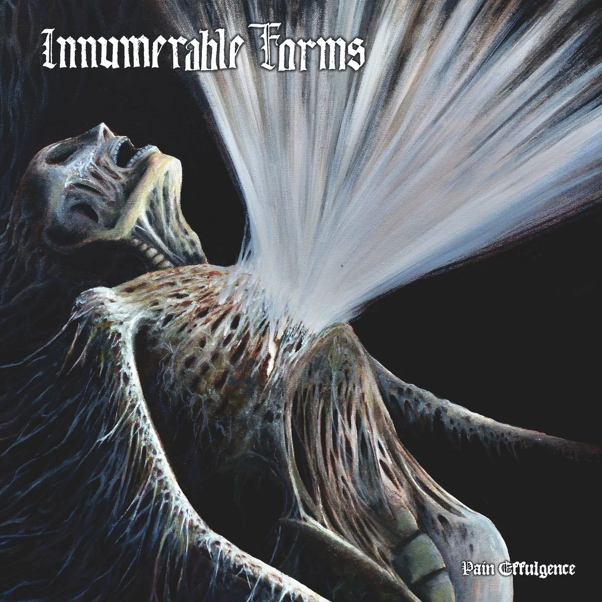 Innumerable Forms - "Pain Effulgence" | Album Review
