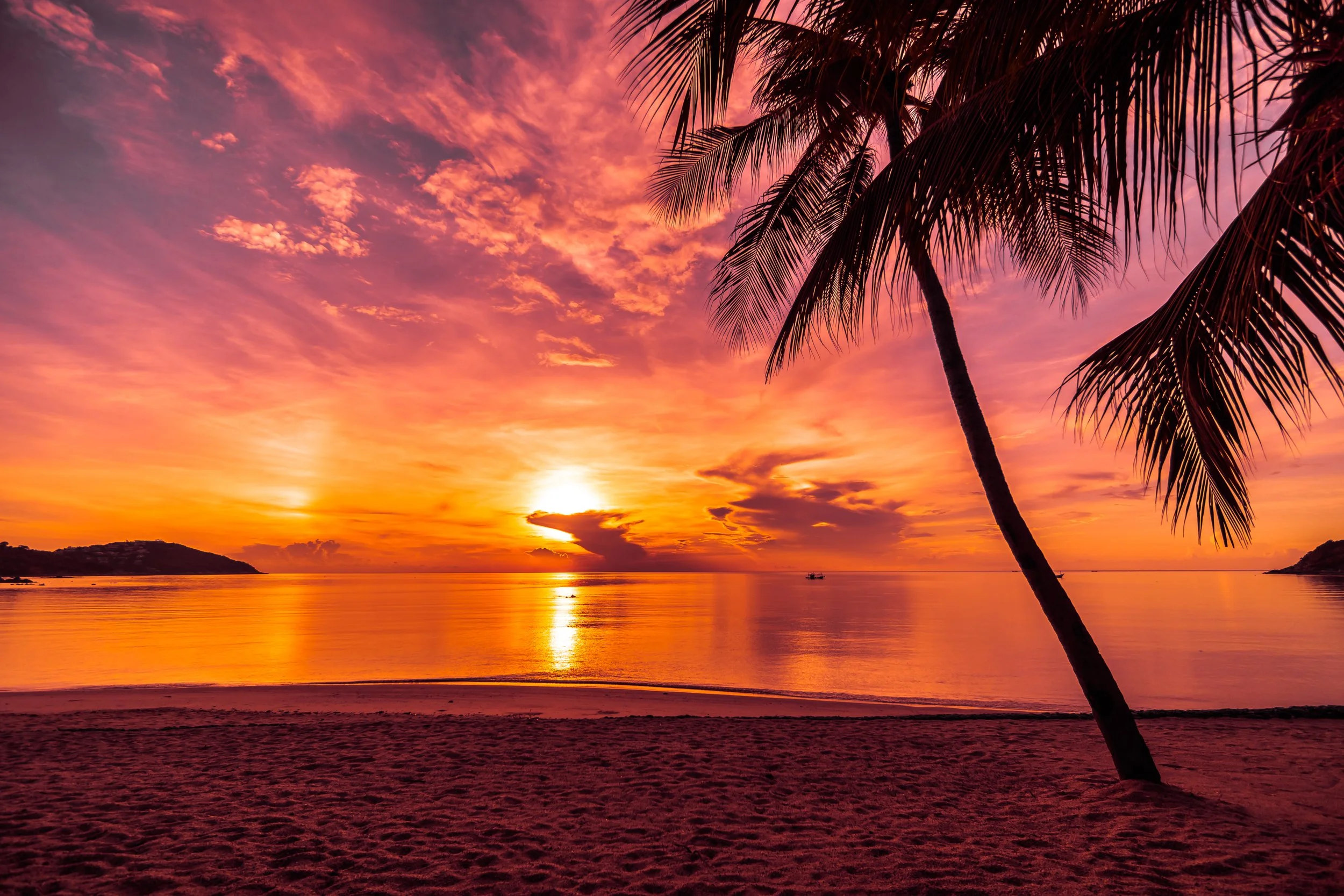 vecteezy_sunset-on-the-tropical-beach_2030159.jpg